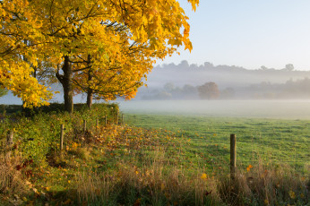 Картинка природа пейзажи простор