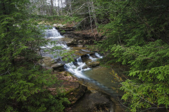 Картинка природа реки озера лес река