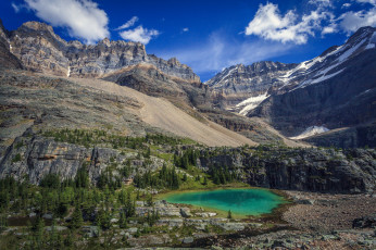 Картинка природа реки озера река лес