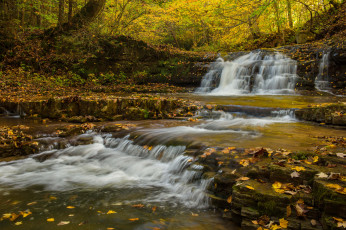 Картинка природа водопады лес река водопад