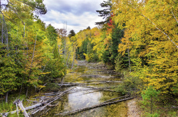 Картинка природа реки озера река лес