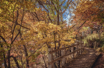 Картинка природа дороги тракт