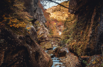 Картинка природа горы скалы