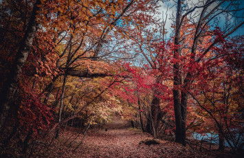 Картинка природа дороги тракт