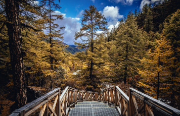 Картинка природа дороги тракт