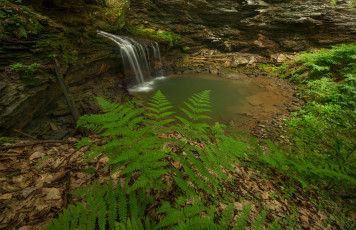 Картинка природа водопады лес река водопад