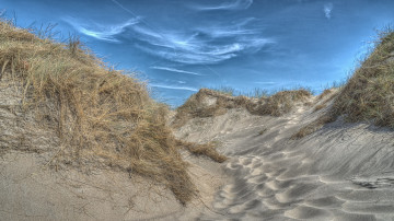 Картинка природа побережье море берег