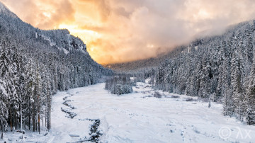 Картинка природа зима снег