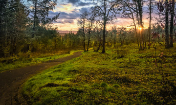 Картинка природа дороги тракт