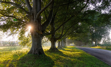 Картинка природа дороги тракт