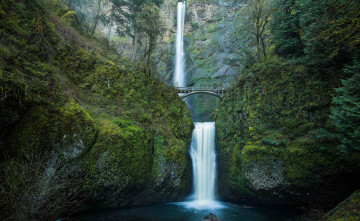 Картинка природа водопады лес река водопад