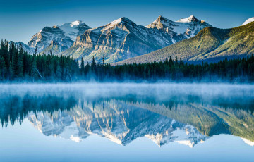 Картинка природа реки озера река лес