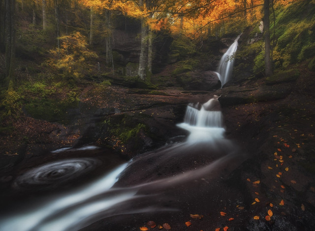 Обои картинки фото природа, водопады, река, лес