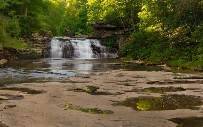 Обои картинки фото природа, водопады, лес, река, водопад