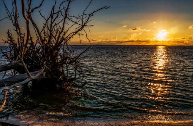 Обои картинки фото природа, восходы, закаты, рассвет