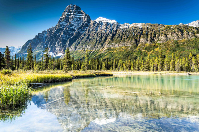 Обои картинки фото природа, реки, озера, река, лес