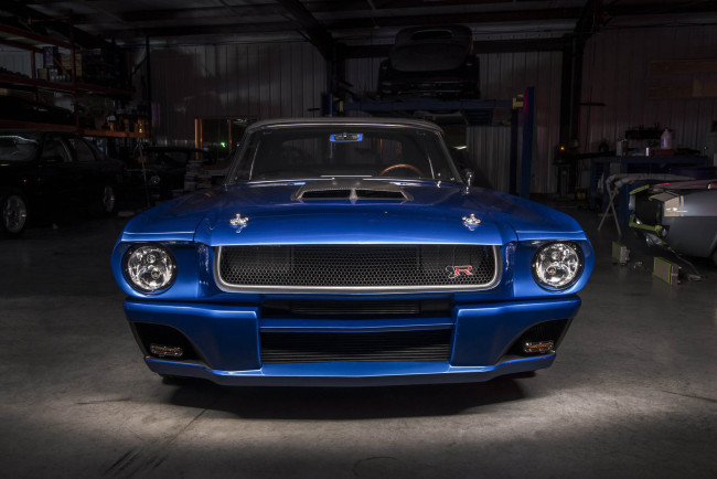 Обои картинки фото автомобили, mustang