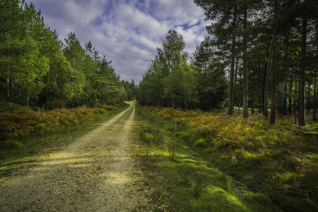 Обои картинки фото природа, дороги, тракт