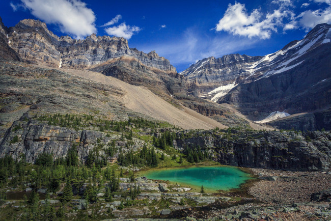 Обои картинки фото природа, реки, озера, река, лес