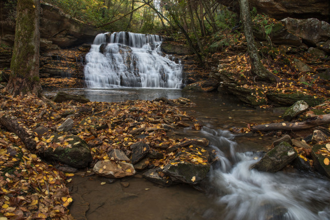 Обои картинки фото природа, водопады, лес, река, водопад