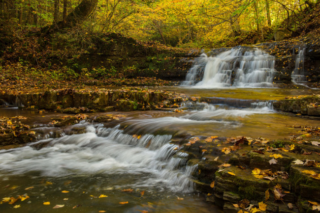 Обои картинки фото природа, водопады, лес, река, водопад