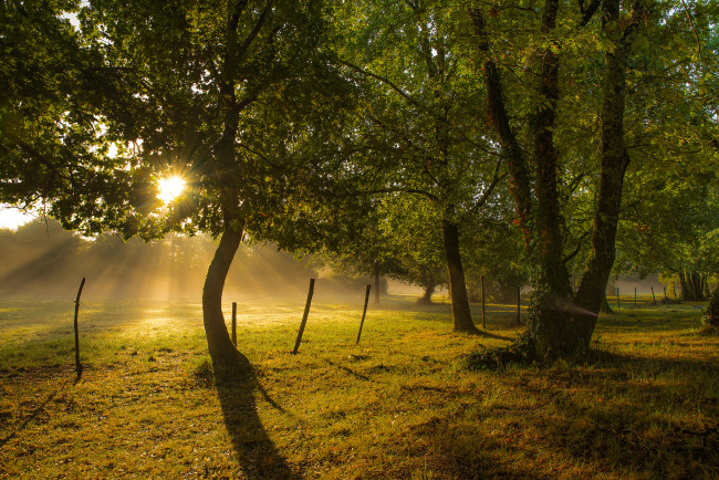 Обои картинки фото природа, восходы, закаты, рассвет