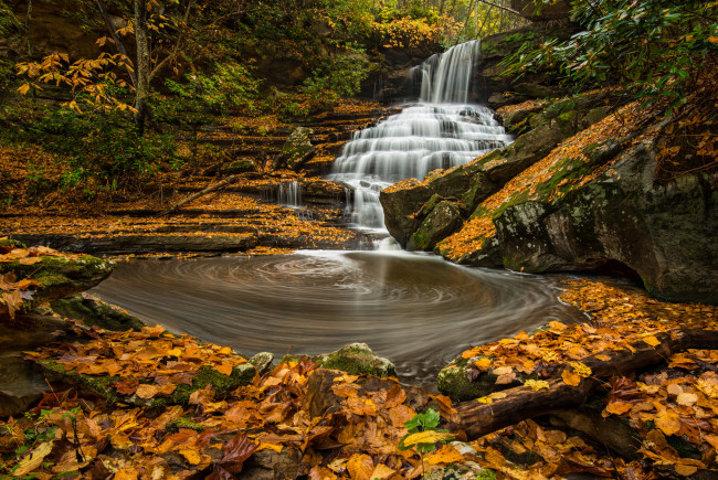 Обои картинки фото природа, водопады, водопад, река, лес