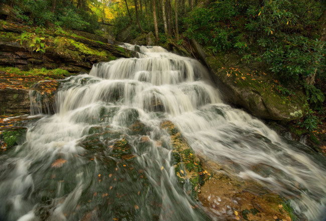 Обои картинки фото природа, водопады, лес, река, водопад