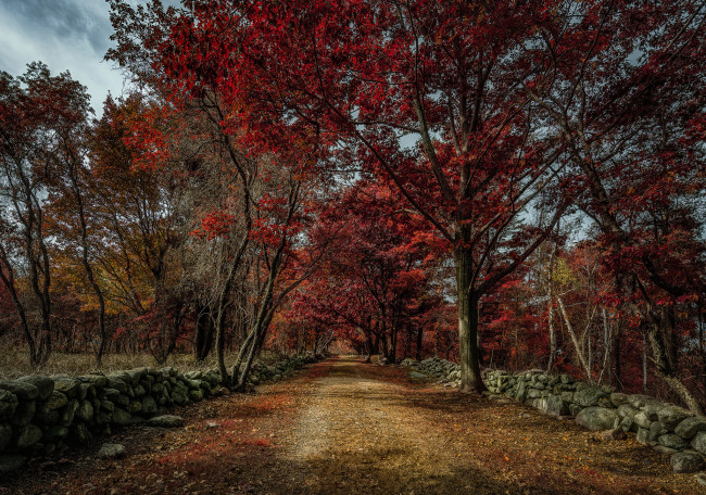 Обои картинки фото природа, дороги, тракт