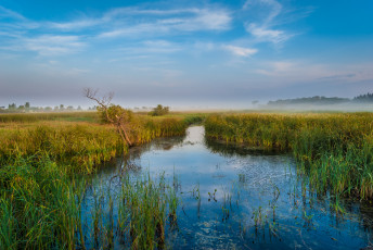 Картинка природа реки озера простор