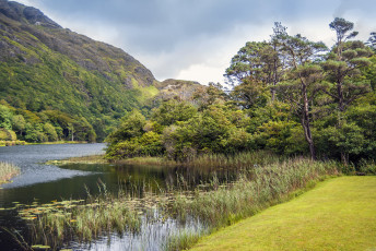 Картинка природа реки озера простор