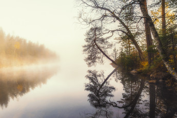 Картинка природа реки озера простор