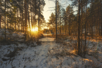 Картинка природа зима простор