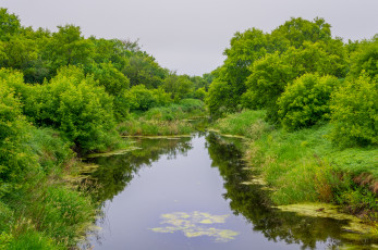 Картинка природа реки озера простор