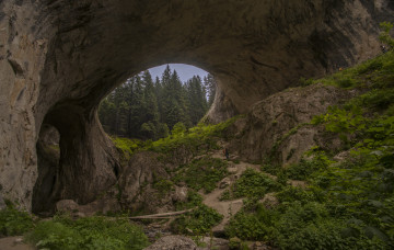 Картинка природа пейзажи простор