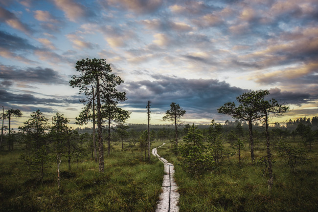 Обои картинки фото природа, дороги, простор