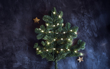 Картинка праздничные ёлки звездочки ветка