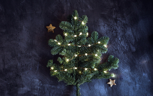 Обои картинки фото праздничные, ёлки, звездочки, ветка