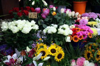 Картинка цветы разные+вместе розы лилии герберы