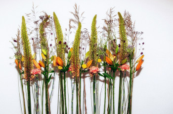 Картинка цветы разные+вместе гвоздика лилии