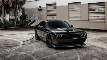 Картинка автомобили dodge challenger