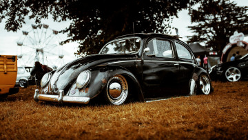 Картинка автомобили volkswagen beetle