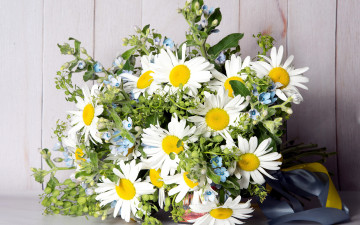 Картинка цветы букеты +композиции ромашки букет лента