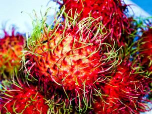 обоя еда, рамбутан, экзотический, фрукт