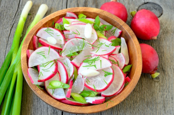 Картинка еда редис +репа +редька миска ломтики салат