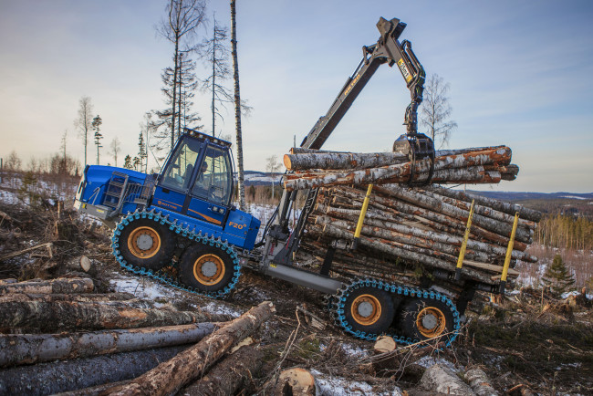 Обои картинки фото техника, лесоповалочная техника, rottne