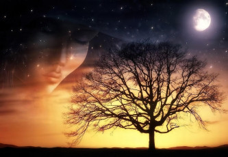 Картинка разное компьютерный+дизайн лицо дерево закат луна звезды
