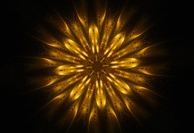 Обои картинки фото 3д графика, цветы , flowers, цветок