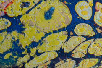 обоя разное, текстуры, краски