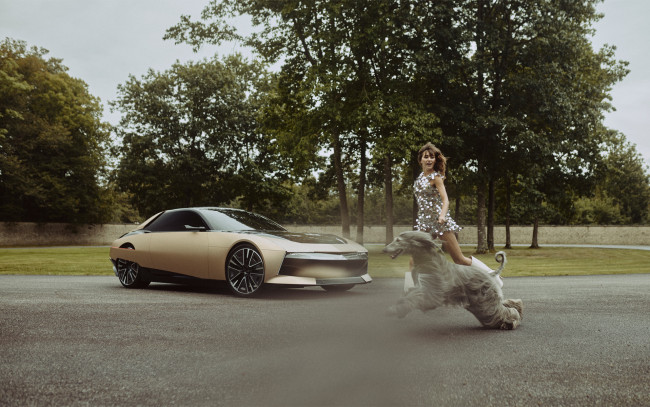 Обои картинки фото автомобили, -авто с девушками, ds